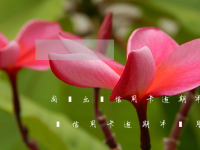 因為出國信用卡逾期半個月怎么辦-因為出國信用卡逾期半個月怎么辦理