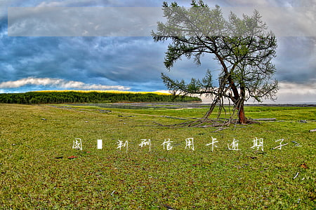 因為判刑信用卡逾期了-因服刑信用卡逾期