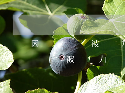 因為勞務糾紛被訴無力償還怎么辦-因為勞務糾紛被訴無力償還怎么辦呢