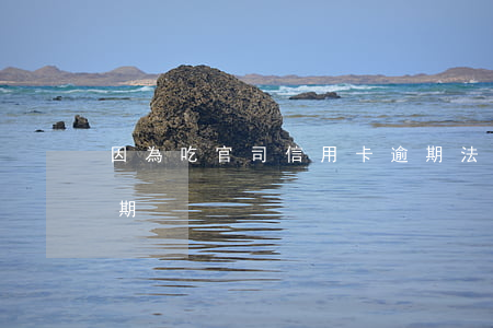 因為吃官司信用卡逾期(法院如何判信用卡逾期)