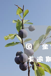 因為坐牢了信用卡逾期怎么辦-因坐牢信用卡逾期了什么辦
