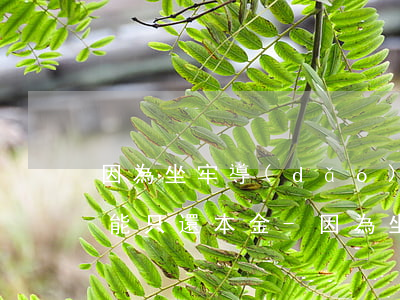 因為坐牢導(dǎo)致信用卡逾期了能不能只還本金-因為坐牢導(dǎo)致信用卡逾期了能不能只還本金