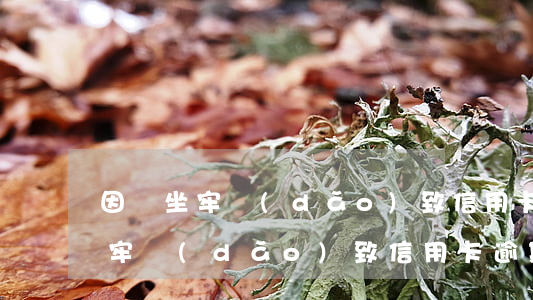 因為坐牢導(dǎo)致信用卡逾期(因為坐牢導(dǎo)致信用卡逾期)