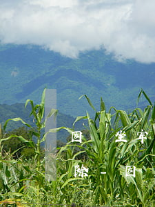 因為坐牢導(dǎo)致信用卡逾期怎么消除-因為坐牢導(dǎo)致信用卡逾期怎么消除記錄