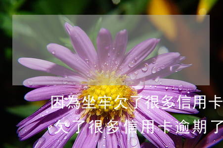 因為坐牢欠了很多信用卡逾期了-因為坐牢欠了很多信用卡逾期了怎么辦