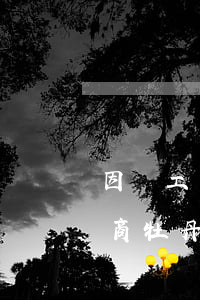 因為工商牡丹卡逾期還款影響征信-因為工商牡丹卡逾期還款影響征信嗎
