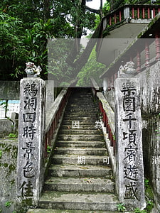 因為年費問題產(chǎn)生的信用卡逾期可以消除嗎-因為年費問題產(chǎn)生的信用卡逾期可以消除嗎農(nóng)業(yè)銀行