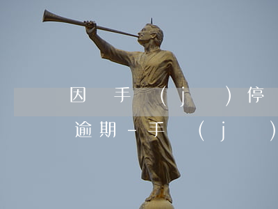 因為手機(jī)停機(jī)造成信用卡逾期-手機(jī)卡因欠費(fèi)停機(jī)