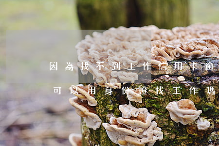 因為找不到工作信用卡逾期了(欠信用卡逾期可以用身份證找工作嗎)