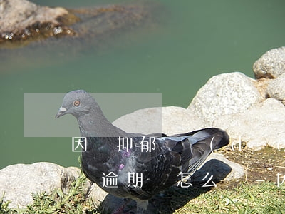 因為抑郁癥導(dǎo)致網(wǎng)貸逾期該怎么辦-因為抑郁癥導(dǎo)致網(wǎng)貸逾期該怎么辦呢