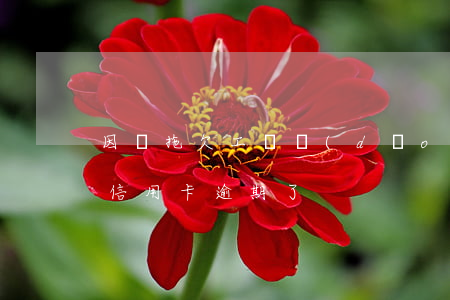 因為拖欠工資導(dǎo)致信用卡逾期(欠信用卡逾期了)