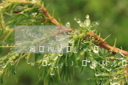 因為拘留網(wǎng)貸逾期黑名單(網(wǎng)貸逾期名單曝光)