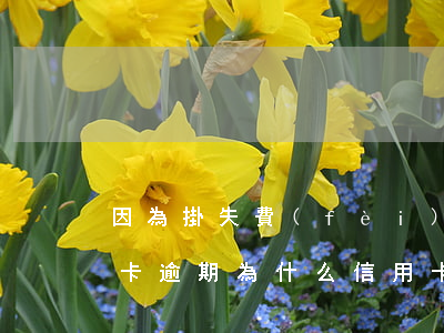 因為掛失費(fèi)導(dǎo)致信用卡逾期(為什么信用卡掛失要收費(fèi))