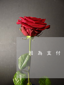 因為支付寶逾期被捉的(支付寶逾期違法嗎)