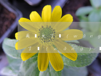 因為欠了網(wǎng)貸老公不理我了(欠了網(wǎng)貸老公不知道)