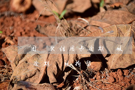 因為欠信用卡逾期會被單位開除嗎(欠信用卡逾期會被拘留嗎)