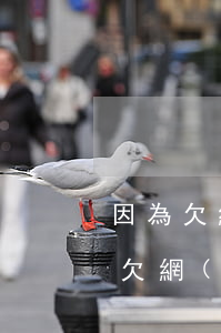因為欠網(wǎng)貸1萬不想活了(因為欠網(wǎng)貸1萬不想活了)