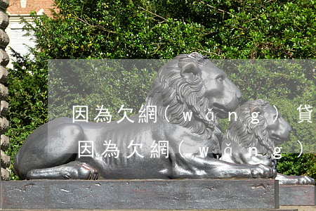 因為欠網(wǎng)貸今年不回家過年了(因為欠網(wǎng)貸今年不回家過年了)