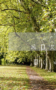 因為欠網(wǎng)貸老婆要離婚(老公欠網(wǎng)貸離婚老婆會受牽連嗎)