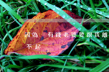 因為沒有錢老婆要跟我離婚(沒有錢離婚都離不起)