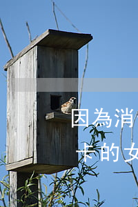 因為消費欠信用卡的女孩子能娶嗎-欠信用卡的女人可以娶嗎