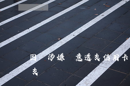 因為涉嫌惡意透支信用卡(刑法信用卡惡意透支)