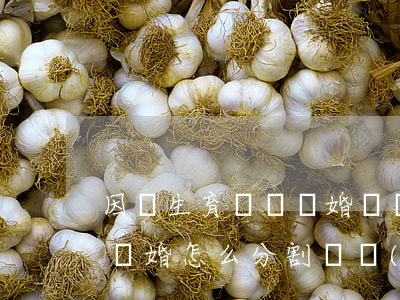 因為生育問題離婚財產(chǎn)怎么分(離婚怎么分割財產(chǎn)和孩子)