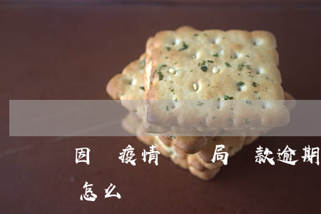 因為疫情勞動局貸款逾期(今年疫情貸款逾期怎么辦)