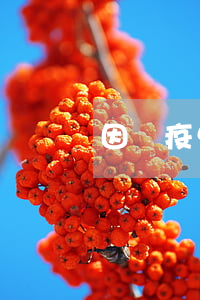 因為疫情可以逾期房貸嗎