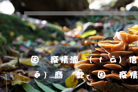 因為疫情浦發(fā)信用卡逾期協(xié)商還款-因為疫情浦發(fā)信用卡逾期協(xié)商還款有影響嗎