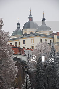因為疫情逾期拼多多