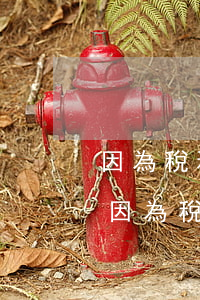 因為稅務(wù)局亂建稅種逾期未申報-因為稅務(wù)局亂建稅種逾期未申報怎么辦