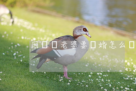 因為窮老婆要離婚怎么辦