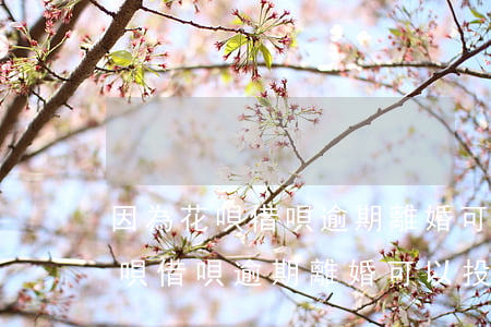 因為花唄借唄逾期離婚可以投訴嗎-因為花唄借唄逾期離婚可以投訴嗎有用嗎
