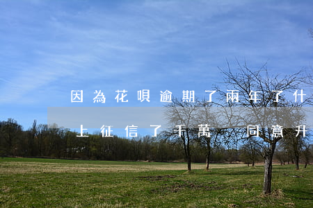因為花唄逾期了兩年了什么時候可以-花唄上征信了千萬別同意升級