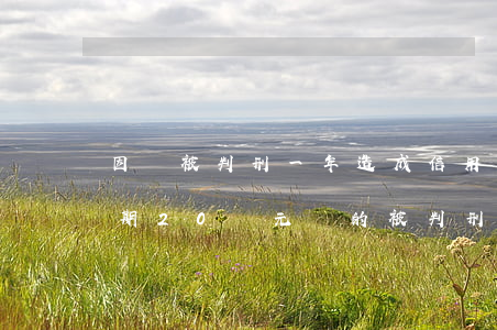 因為被判刑一年造成信用卡逾期(欠信用卡逾期20萬元會的被判刑幾年)