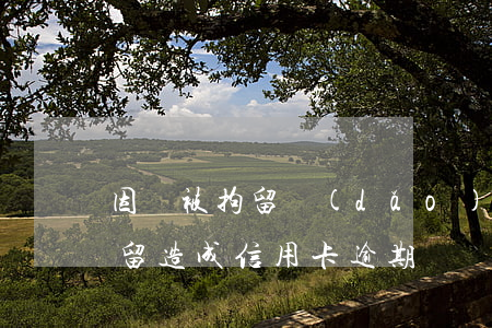 因為被拘留導(dǎo)致信用卡逾期(被拘留造成信用卡逾期)