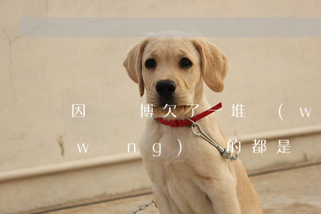 因為賭博欠了一堆網(wǎng)貸(欠網(wǎng)貸的都是網(wǎng)賭的人)