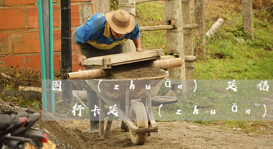 因為轉(zhuǎn)賬延遲信用卡逾期-銀行卡延遲轉(zhuǎn)賬