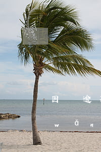 因為逾期網(wǎng)貸把名聲搞臭(網(wǎng)貸逾期吧)