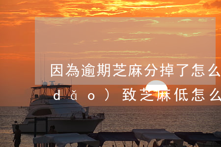 因為逾期芝麻分掉了怎么漲回來-逾期導(dǎo)致芝麻低怎么辦