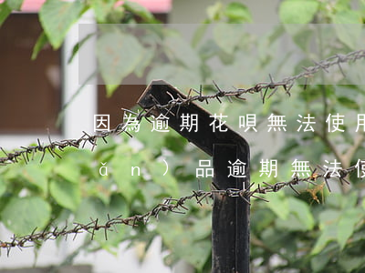 因為逾期花唄無法使用(花唄提示有產(chǎn)品逾期,無法使用花唄支付)