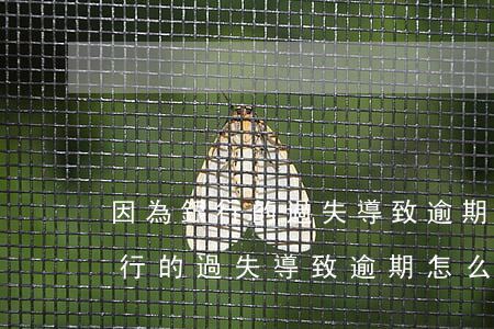 因為銀行的過失導致逾期怎么處理-因為銀行的過失導致逾期怎么處理呢