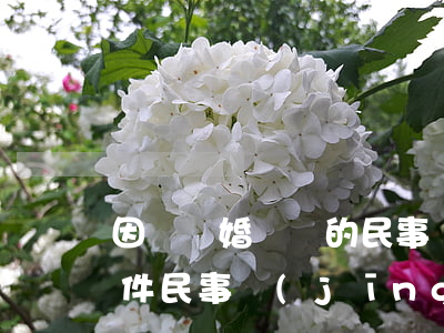 因為離婚糾紛的民事轉(zhuǎn)刑案件(民事經(jīng)濟糾紛轉(zhuǎn)刑事案件)