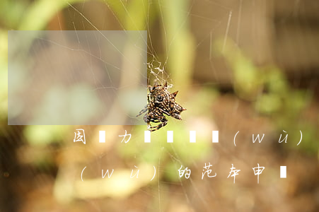 因無力償還債務(wù)新聞(無力償還債務(wù)的范本申請)