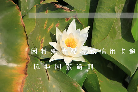 因特殊情况导致信用卡逾期（信用卡因为不可抗拒因素逾期）
