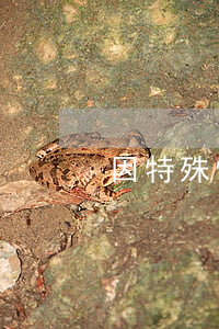 因特殊情况逾期还款(记错还款日期产生逾期)