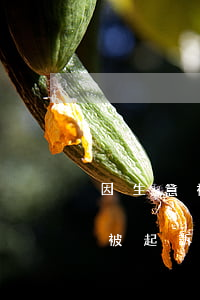 因生意被起訴了能在微粒貸借錢嗎-因生意被起訴了能在微粒貸借錢嗎安全嗎