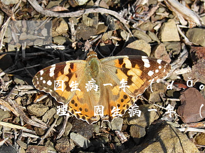 因生病一年導(dǎo)致征信逾期如何處理-因生病一年導(dǎo)致征信逾期如何處理呢