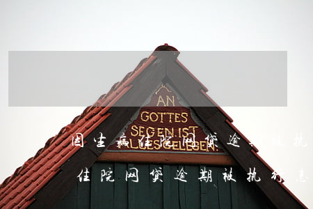 因生病住院网贷逾期被执行怎么办-因生病住院网贷逾期被执行怎么办理